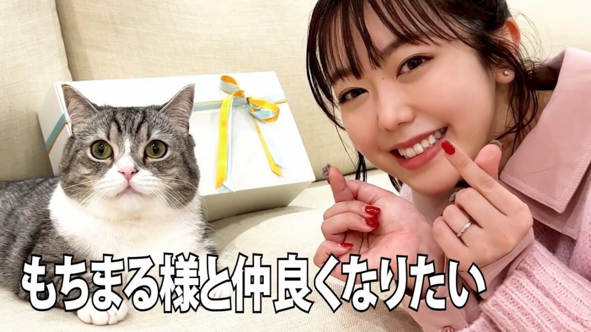 【もちまる様コラボ】初恋の猫に会いに行ってきた!