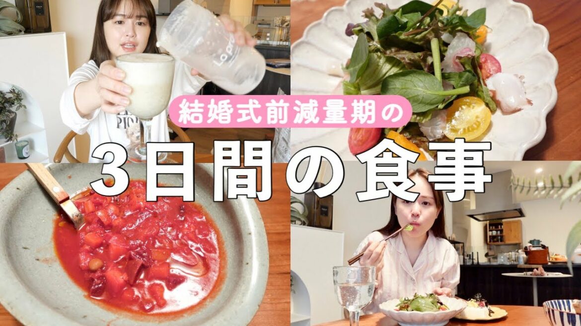 【結婚式前】減量期の3日間の食事を動画撮ってみました!【まあまあ食べてる】