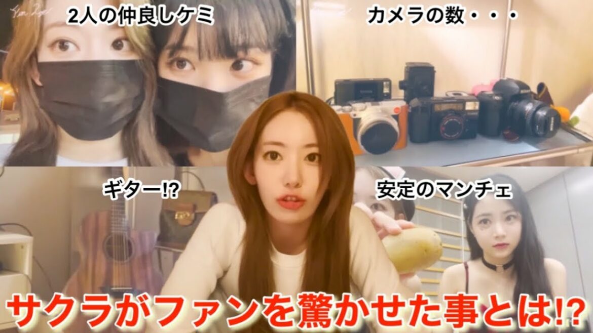 【LE SSERAFIM】ルセラフィムの宮脇咲良が公開した動画でファンを驚かせました【FIM-LOG/SAKURA】