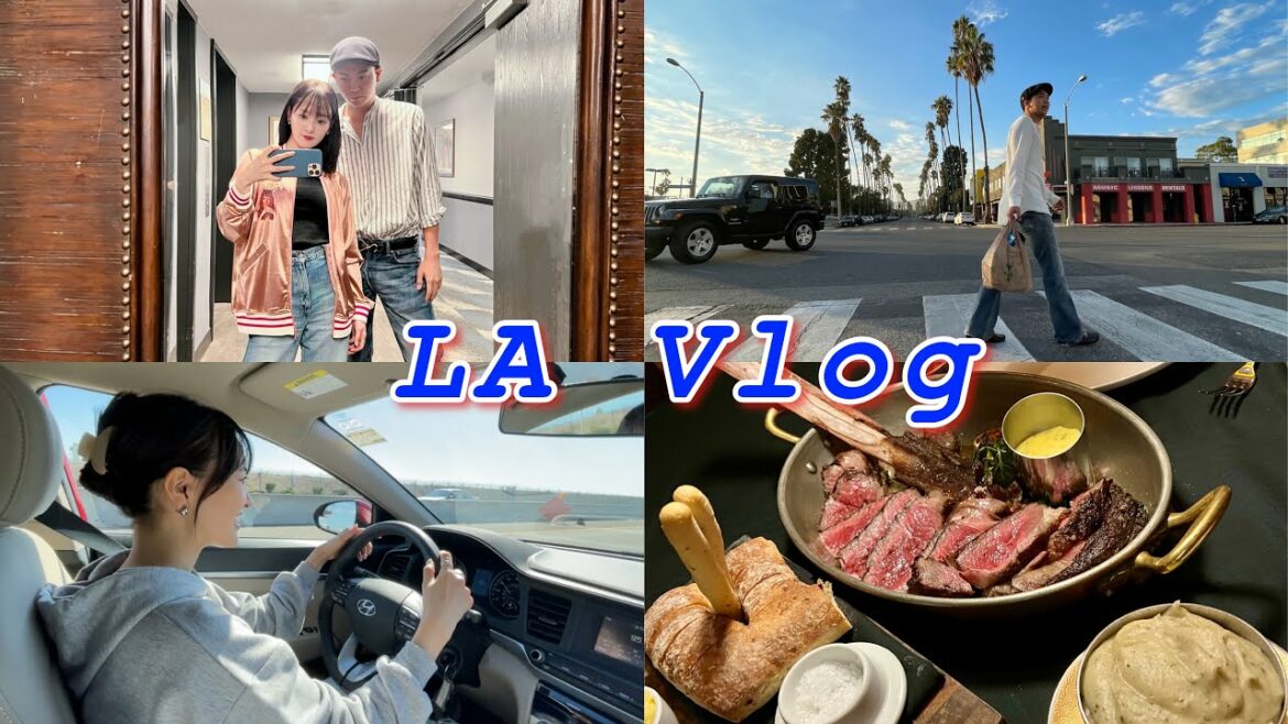 【2023年最新LA】弟とロサンゼルスに旅行してきました✈️