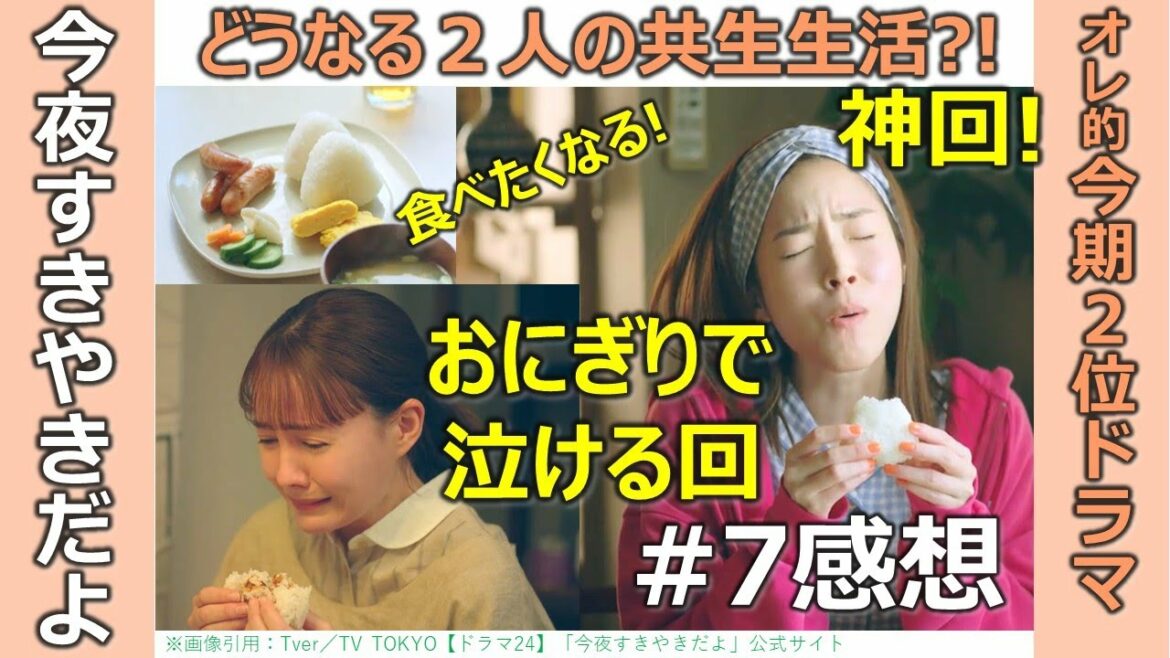 ドラマ感想【今夜すきやきだよ】第7話/蓮佛美沙子/トリンドル玲奈/神回/おにぎりで盛大に泣ける回/どうなる2人の共生生活/オレ的今期2位ドラマ/テレ東金曜日深夜0時12分