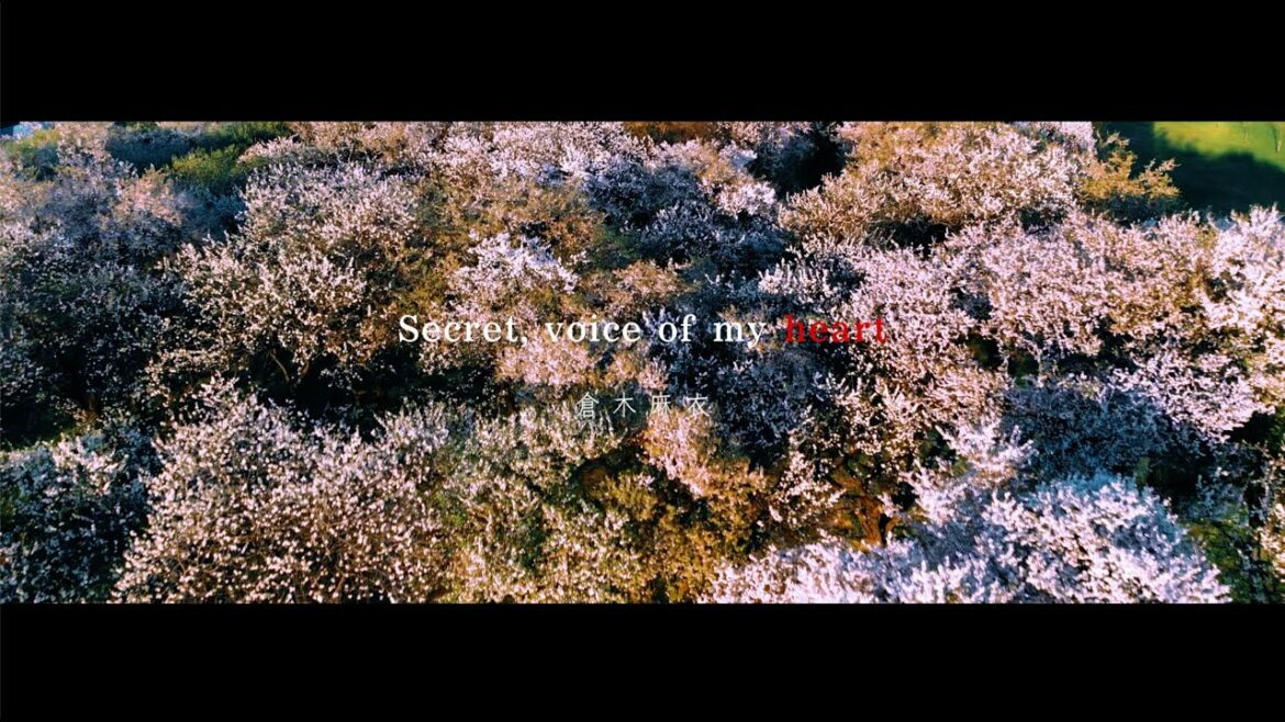 倉木麻衣「Secret, voice of my heart」Lyric Video