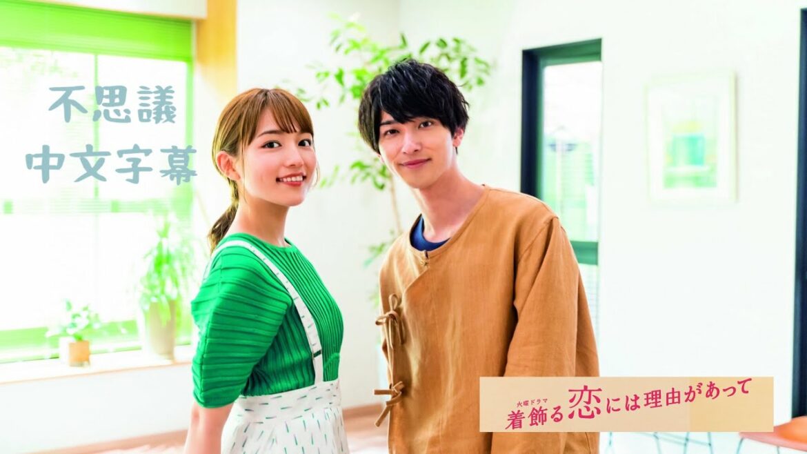 「不思議—星野源」中文字幕劇照MV 《打扮的戀愛是有理由的》