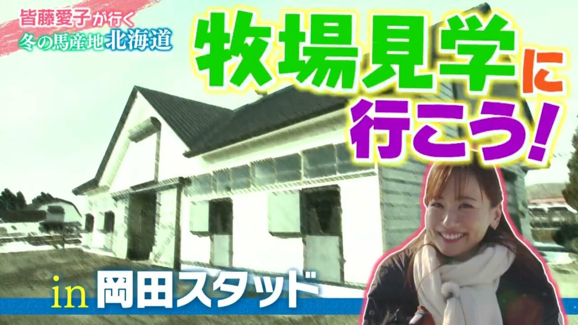 皆藤愛子が行く 冬の馬産地北海道Vol.1(2023年2月25日放送分)