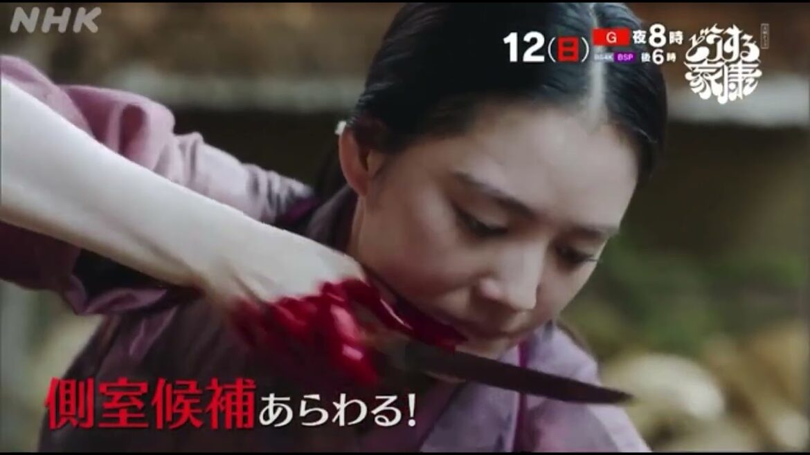 【予告切り抜き】どうする家康 第10回 側室をどうする