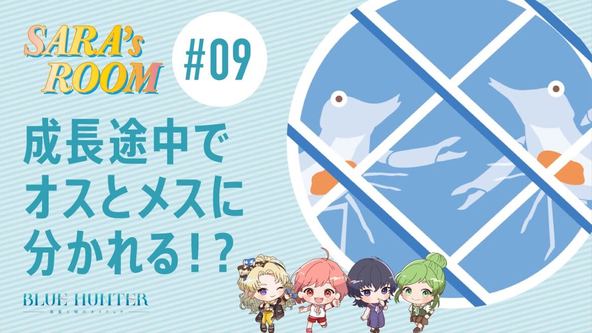「SARA`S ROOM」#9 ドウケツエビ 沙羅