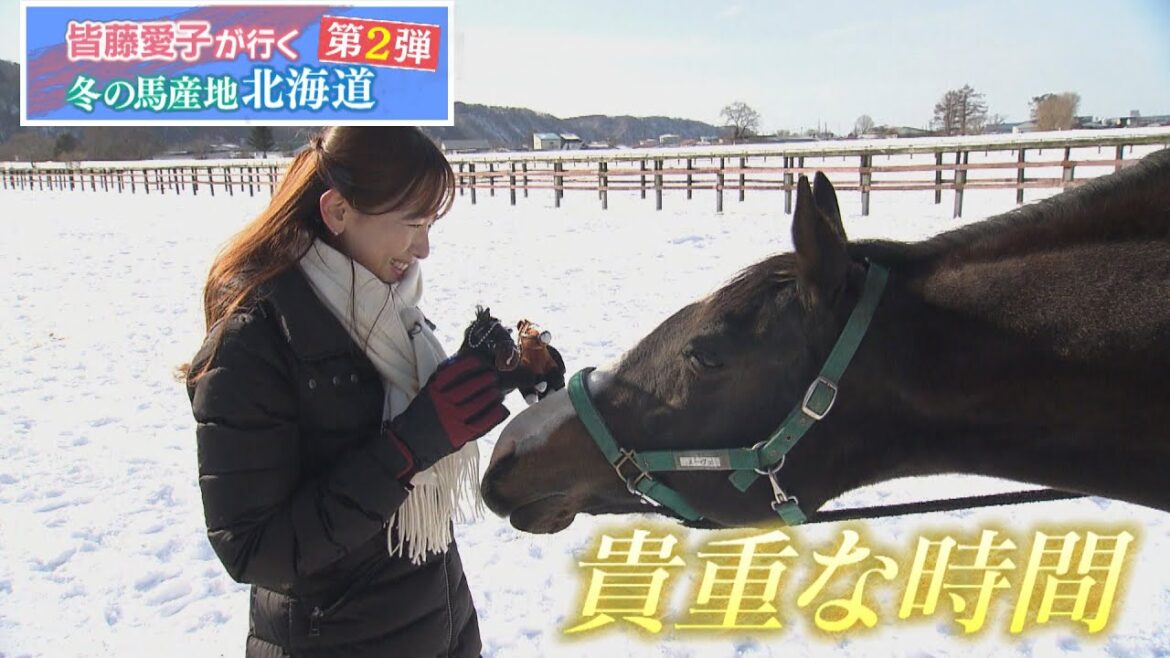 皆藤愛子が行く 冬の馬産地北海道Vol.2(2023年3月11日放送分)