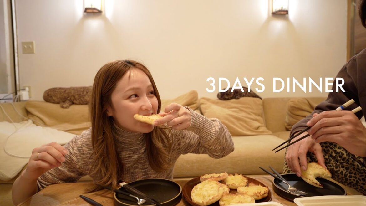 3日間の晩御飯🍚手抜きバージョン
