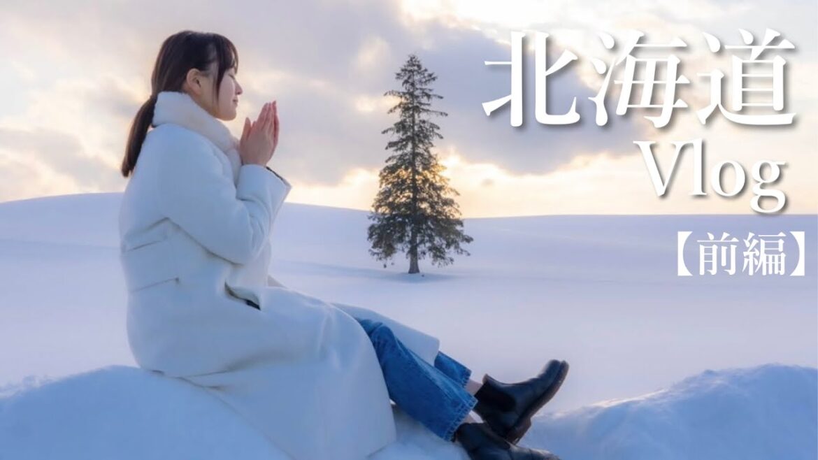 【北海道Vlog】絶景とサウナで最高だった!!【美瑛】