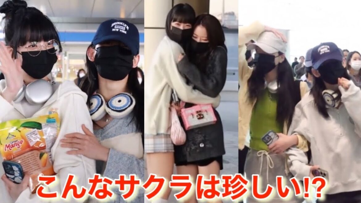 【LE SSERAFIM】ルセラフィムの宮脇咲良がウンチェに対しての距離感が近すぎると話題に