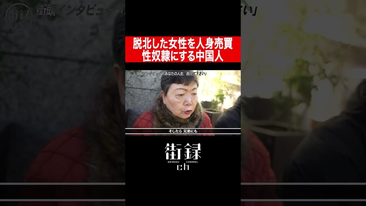 北朝鮮から脱北した女性を男達で共有する中国人/川崎栄子 #shorts