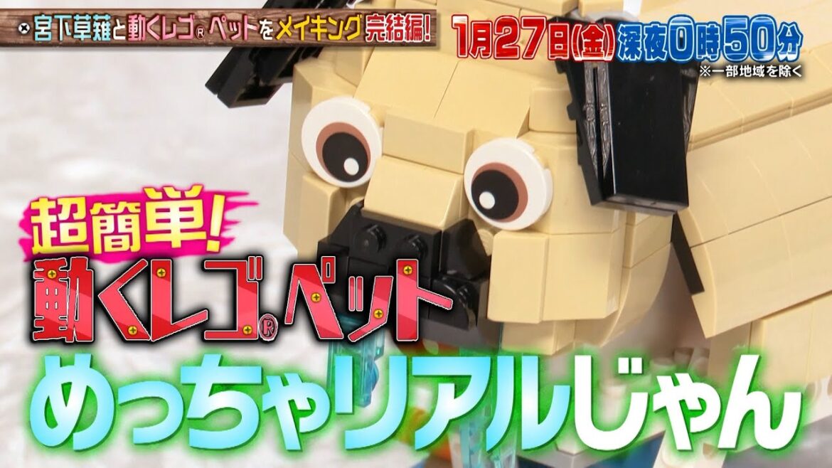 【完結編】宮下草薙と超簡単!動くレゴペットをメイキング!!『NEWSの全力!!メイキング』1/27(金)【過去回はパラビで配信中】