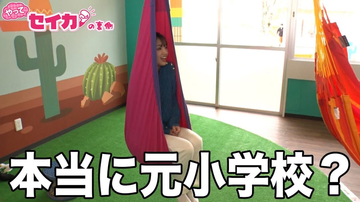 これが本当に学校だったの!?小学校が最新リゾート施設に大変身【セイカの裏側45】