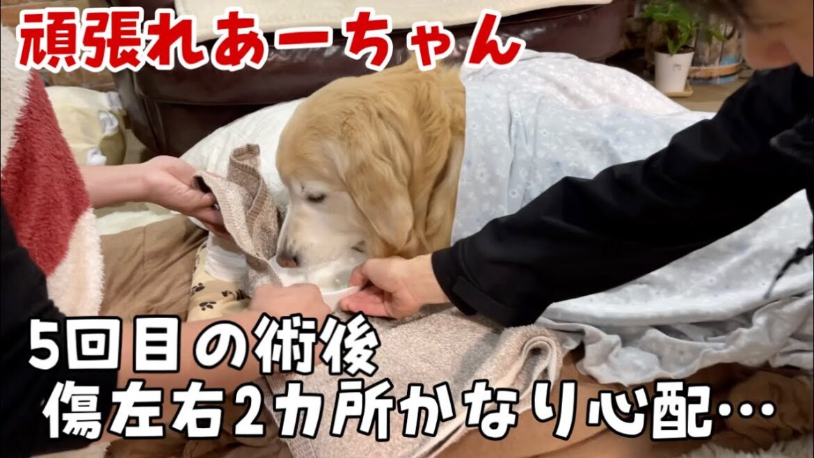 【5回目の術後】傷左右2カ所なのでかなり心配しました…