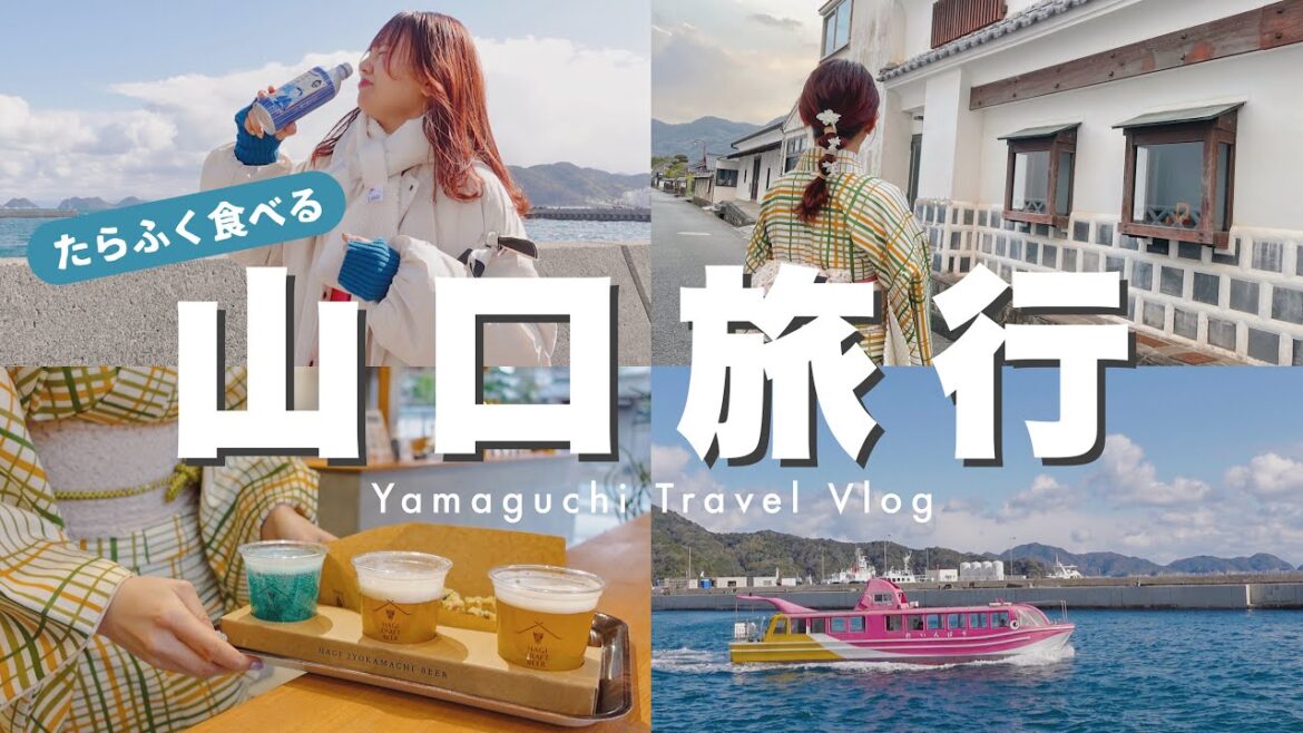trip vlog/山口旅行編✈️たらふく食べて大優勝❕ひとり旅,女子旅にもオススメの場所┊︎萩城下町,道の駅,角島など…🌊
