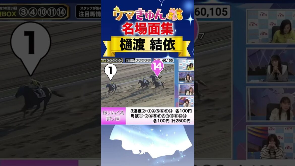 【神展開】視聴者に「このレース荒れますか?」と聞いて信じたら、人生初の万馬券を的中しちゃいました!【シン シンデレラ爆誕】