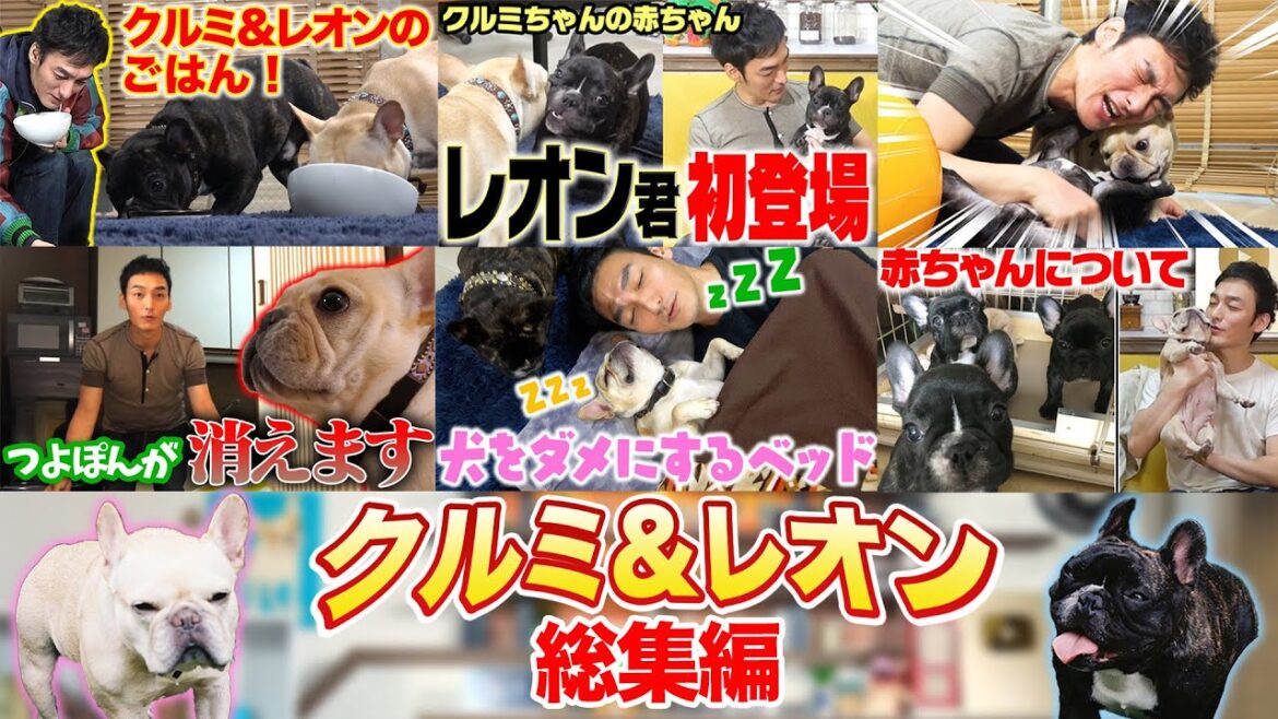 クルミちゃんとレオン君の総集編!2人とも大きく育ってくれたな〜