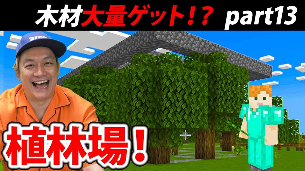 【マイクラ】資材不足解消へ!はじめての植林場を作る!【リトカ名人のマインクラフト実況part11】【リトクラ】