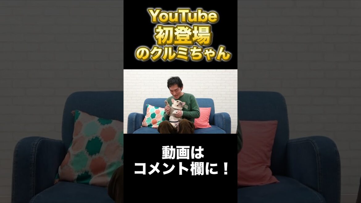 YouTuberデビューをしたクルミ! #Shorts #草彅剛 #クルミ
