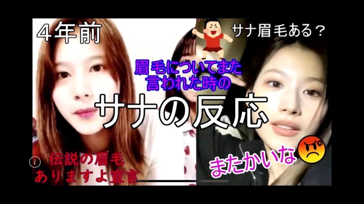 また眉毛がないとイジられたさーたん【TWICE サナ ライブ 日本語訳】