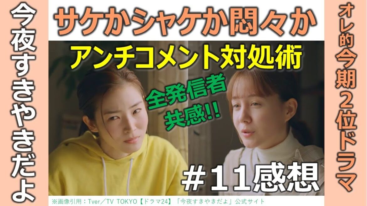 ドラマ感想【今夜すきやきだよ】第11話/蓮佛美沙子/トリンドル玲奈/鈴木仁/サケかシャケか悶々か/アンチコメント対処術/全発信者共感!!/オレ的今期2位ドラマ/テレ東金曜日深夜0時12分