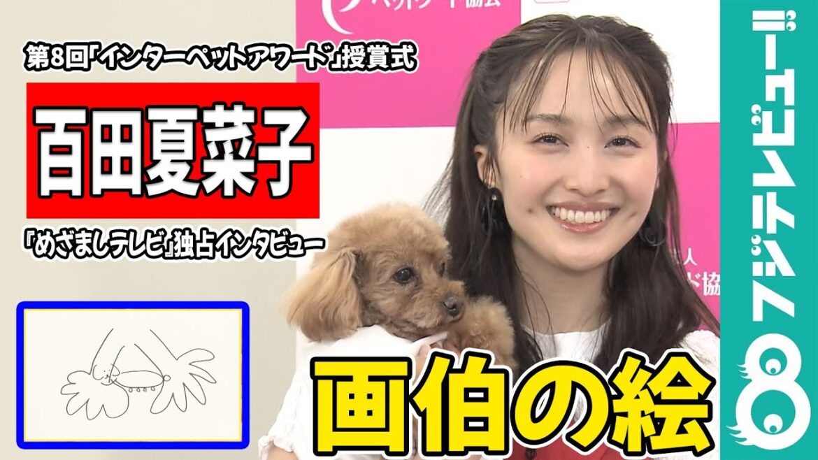【めざまし独占】百田夏菜子 画伯ぶりを発揮し魅力が伝わらず!愛犬にそっぽを向かれる
