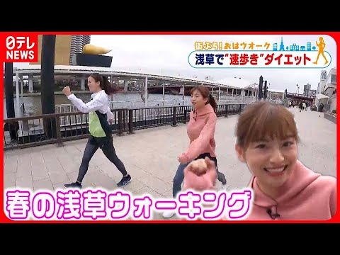 【街ぶら!おはウオーク】春の浅草ウオーキング 1日目
