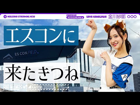 【きつねダンス】エスコンフィールドに行った金川の1日に密着!