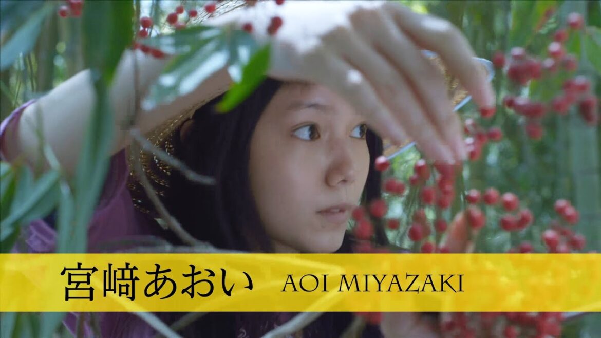 宮崎あおい×向井理!映画『きいろいゾウ』予告編