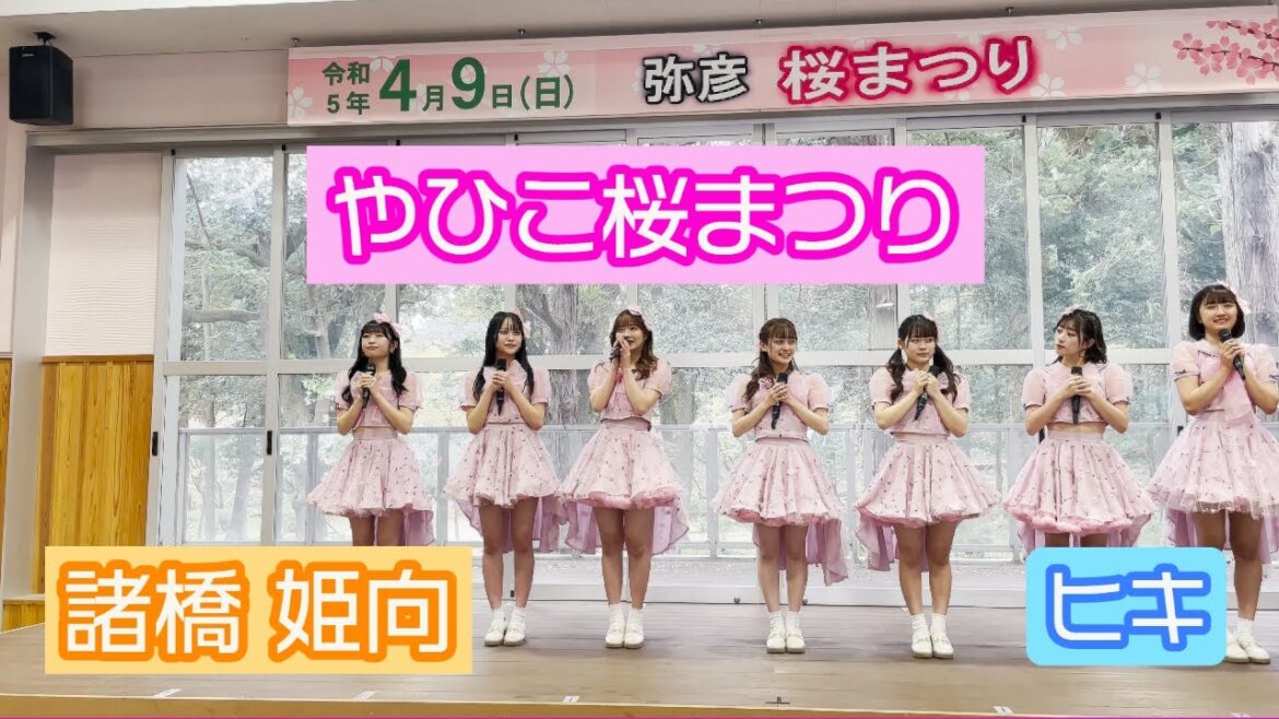 【4K LIVE映像】「やひこ桜まつり」 諸橋姫向推しカメラ ヒキ