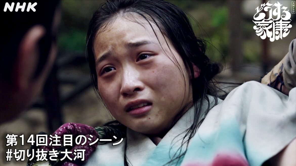 信長と家康を救う!阿月(伊東蒼)が命がけで伝えた市(北川景子)からのメッセージ。| 切り抜き大河 | 大河ドラマ「どうする家康」| NHK