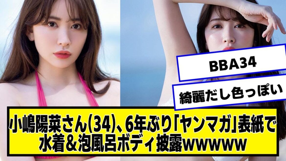 小嶋陽菜さん(34)、6年ぶり「ヤンマガ」表紙【なんJ2chネットの反応】