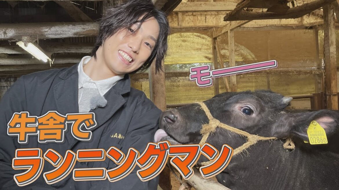 極上お肉をゲットせよ!FANTASTICS堀夏喜が牛舎でランニングマン講座!?