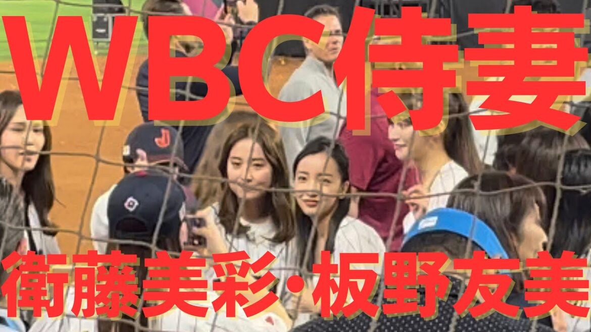 【現地映像】WBC 侍ジャパンの奥様入場 AKB 乃木坂