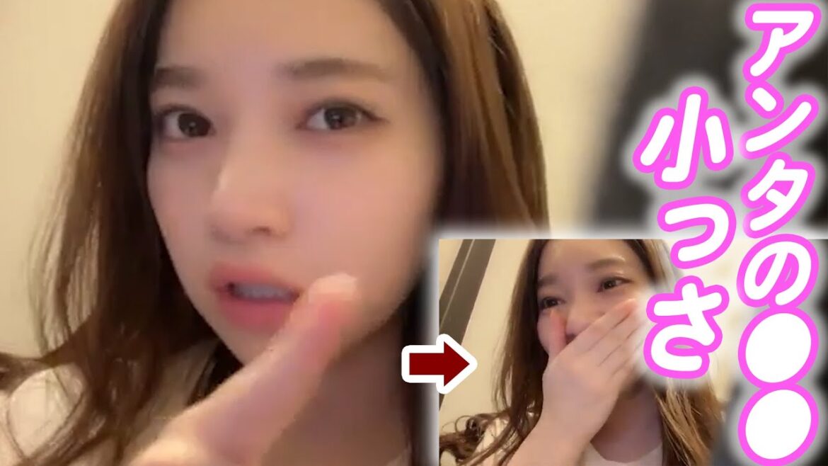 胸が小さいって言われたら AKB48 奥原妃奈子