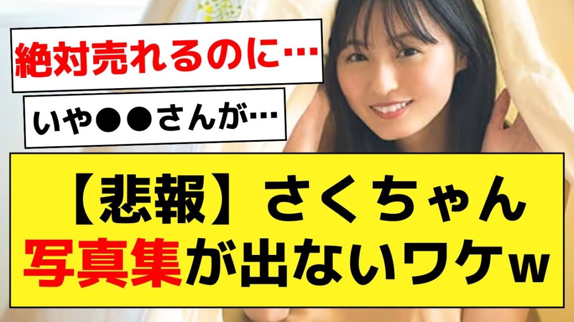 【悲報!?】さくちゃんとあやめんってなんで写真集出さないの?【乃木オタ反応集】