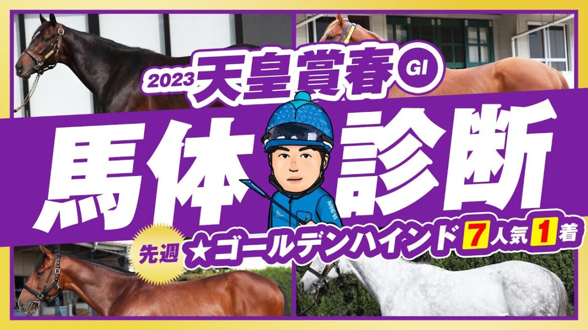 【天皇賞春 2023】先週は★特注馬が7人気1着!3年ぶりの京都決戦を制するイチオシ馬体とは!?某大手牧場の元スタッフが見抜くGⅠ馬体診断!GⅠフォトパドック【競馬予想】