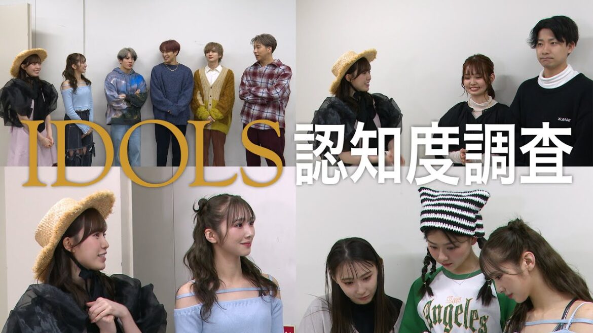 IDOLSって知ってますか?インタビュー