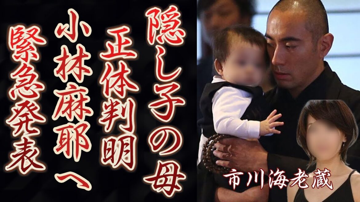 市川海老蔵の隠し子の衝撃の現在や母親の正体に目を疑った!平成から時代を牽引してきた歌舞伎役者が小林麻耶へ「お伝えしたいことがあります…。」一同驚愕の事態に…