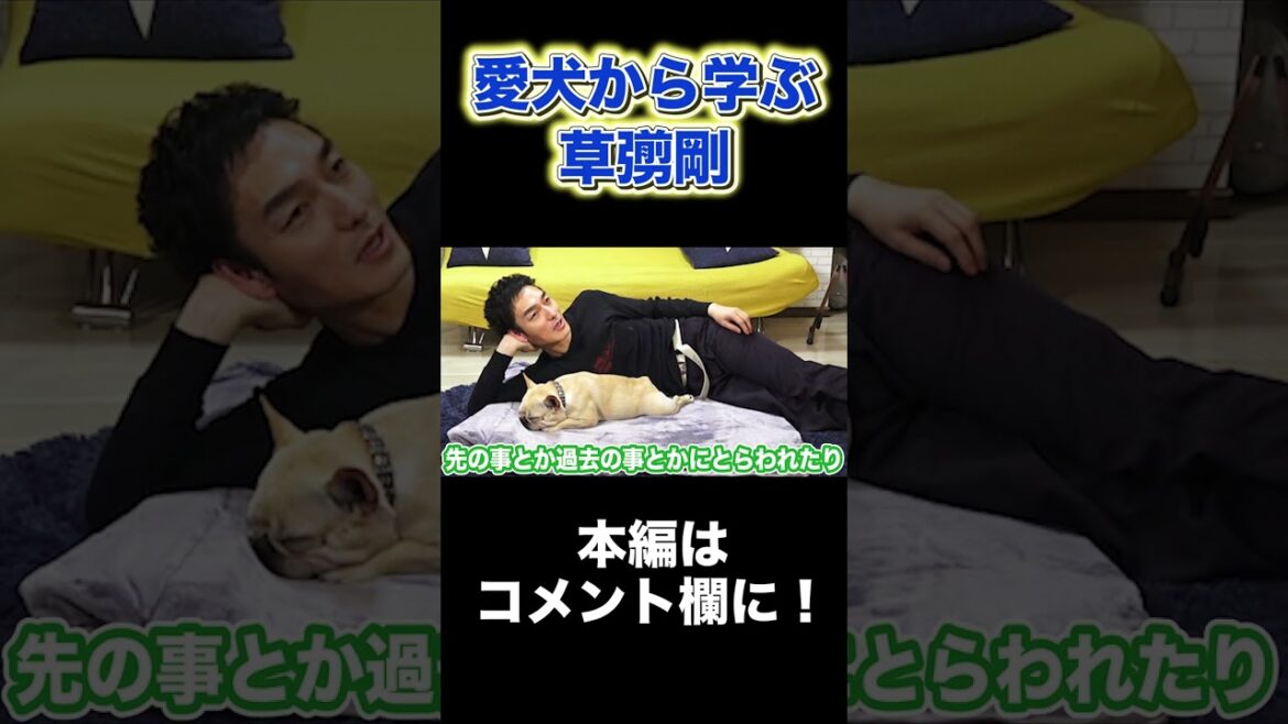愛犬から何かを学ぶ草彅剛 #Shorts #草彅剛 #クルミ #レオン