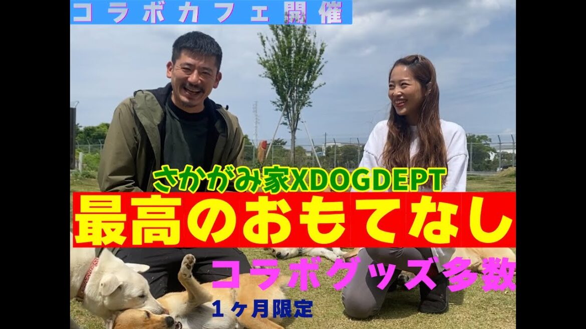 最高のおもてなし!?