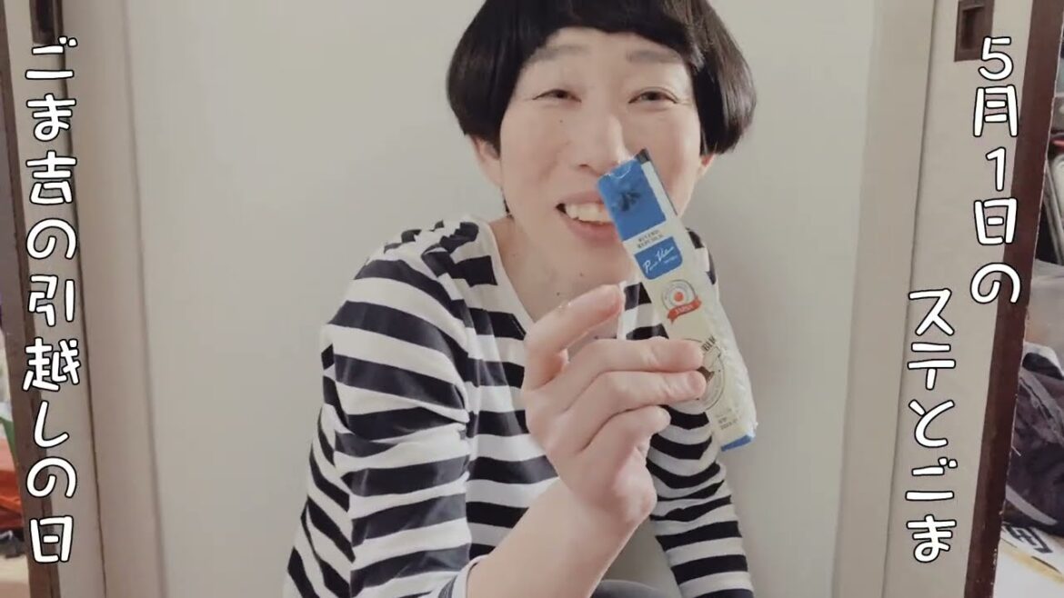 【43歳独身女芸人と猫】5月1日のステとごま~ごま吉引っ越しの日その③~ #牧野ステテコ #引っ越し #またね