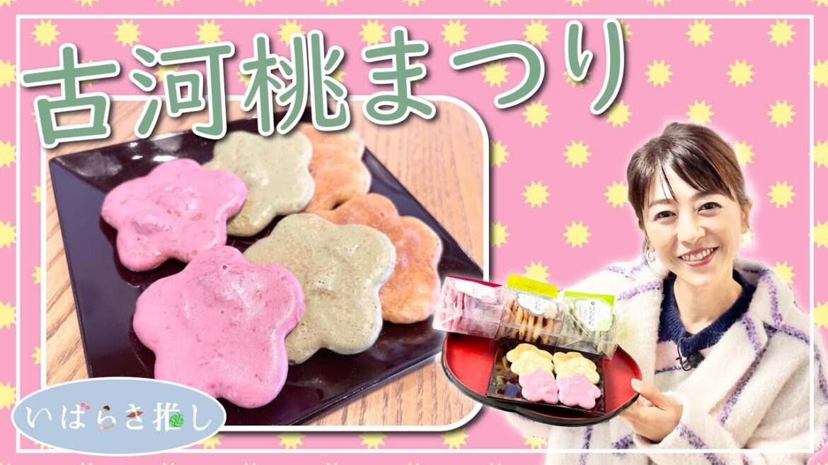いばらき推し「古河桃まつり」(古河市)