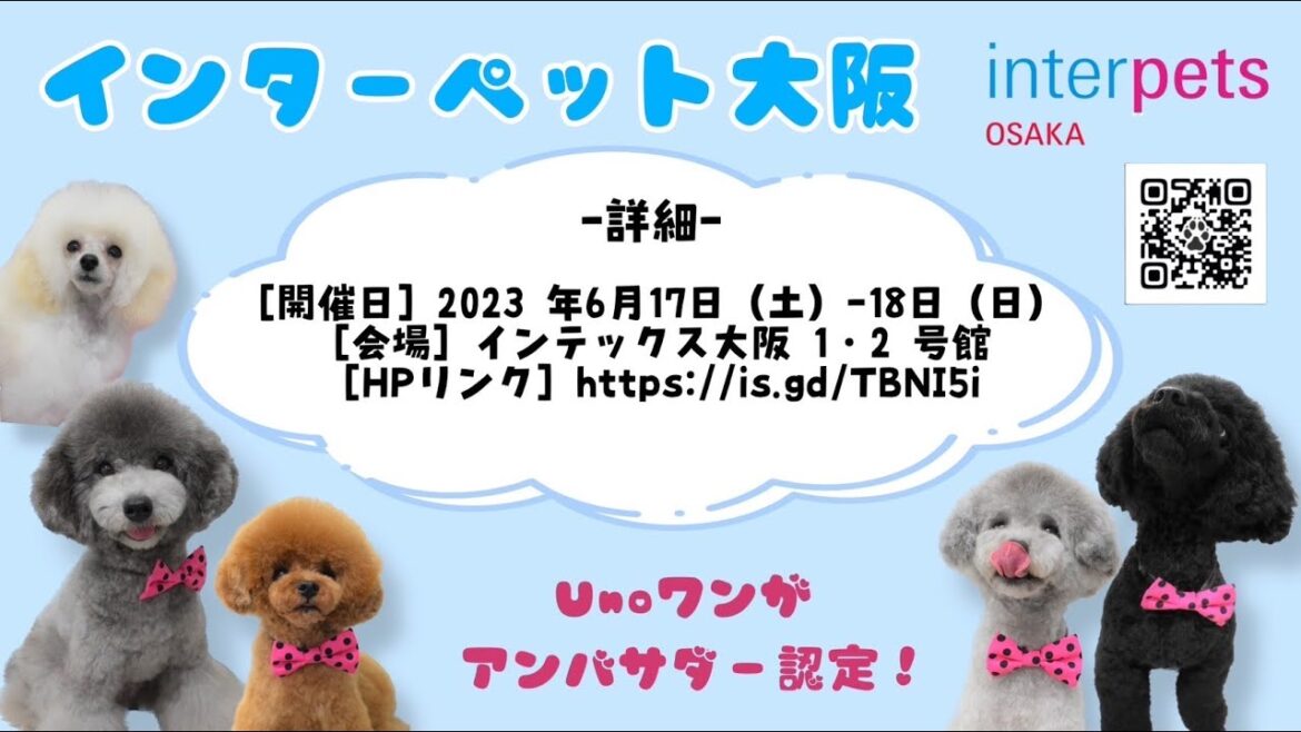 【公式アンバサダー就任‼️】#uno1ワンチャンネル #インターペット大阪2023#宇野昌磨 #宇野樹 #トイプードル生活 #いぬとの暮らし #フィギュアスケート