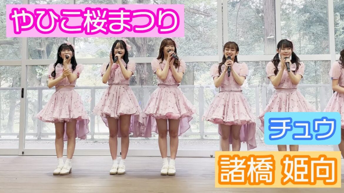 【4K LIVE映像】「やひこ桜まつり」 諸橋姫向推しカメラ チュウ