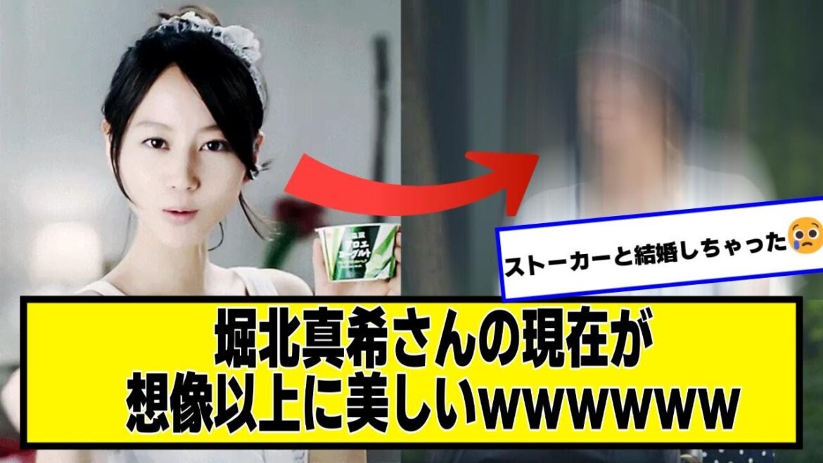 堀北真希さんの現在が想像以上に美しいwwwwww【なんJ2chネットの反応】