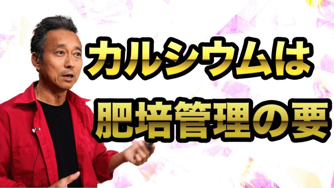 第38回 苺反12トンの背景 カルシウムの特性と使い方