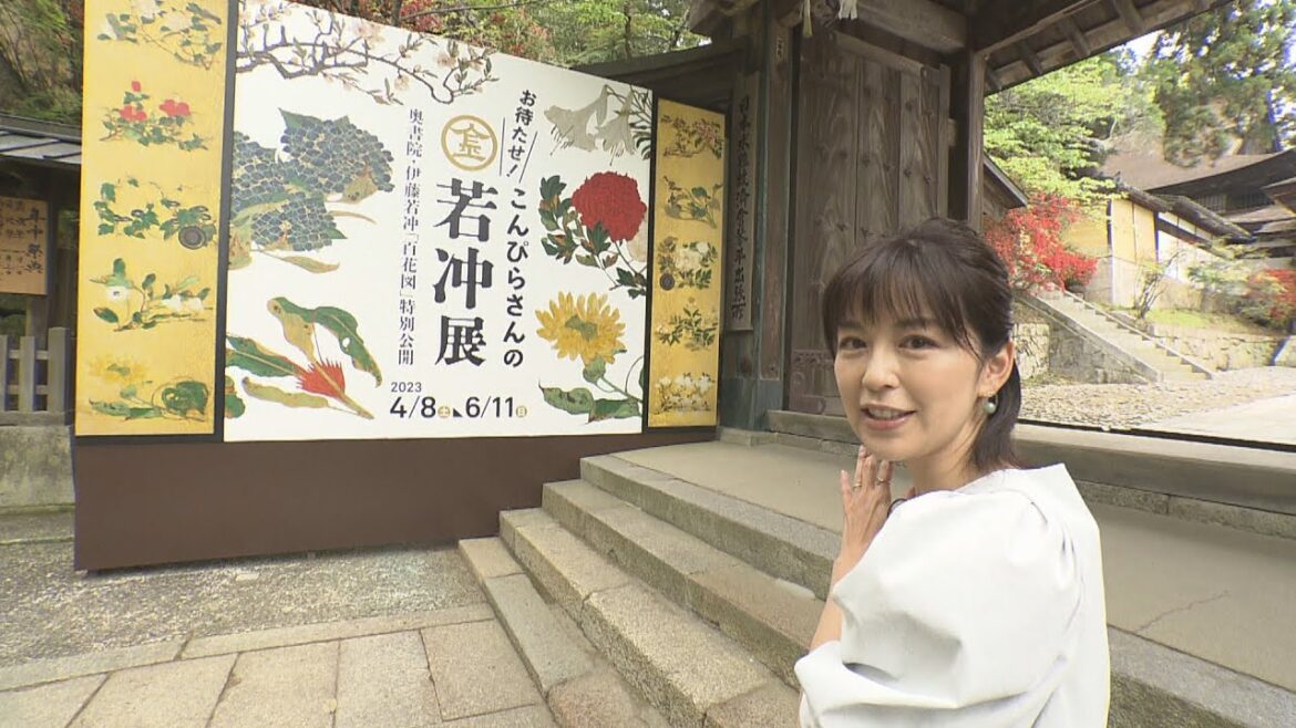 中野美奈子さんが迫る…伊藤若冲の魅力「生で見るとすごい」 香川・金刀比羅宮
