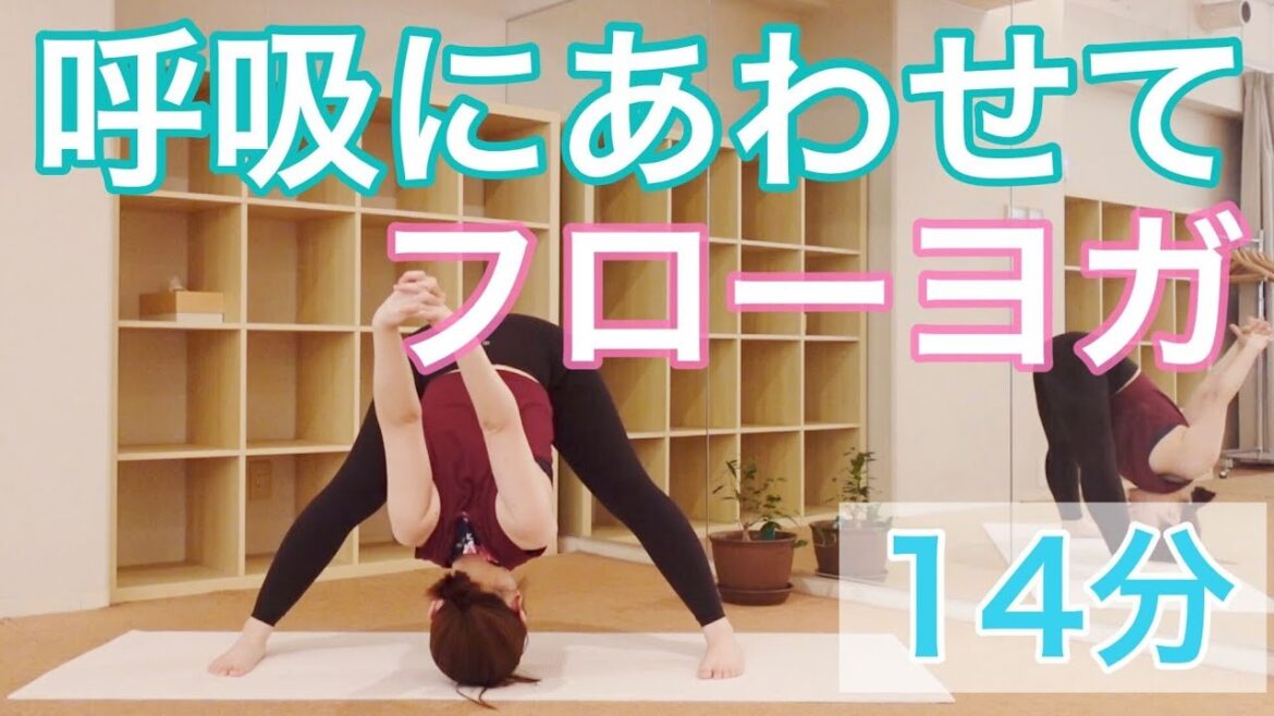【呼吸に合わせて】ゆったりフローヨガ