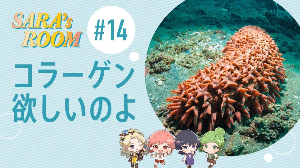 「SARA`S ROOM」#14 妄想海洋生物 沙羅